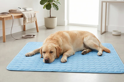 Cooling Mat for Dogs & Cats